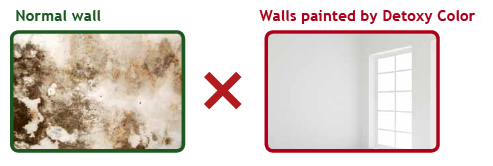 Stěna natřená Detoxy Colorem a běžná stěna